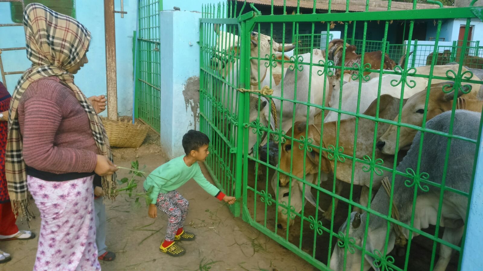 Ayaan at the ashram