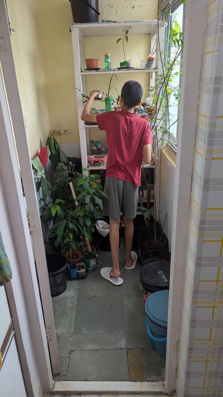 Ayaan caring for his plants in Juhu